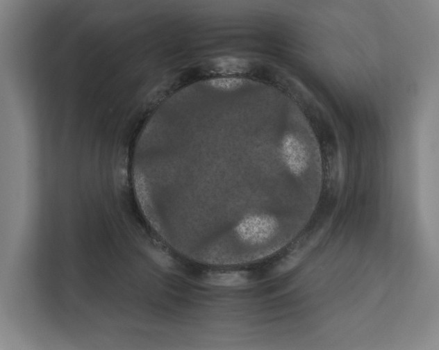X0000111860553200908201259