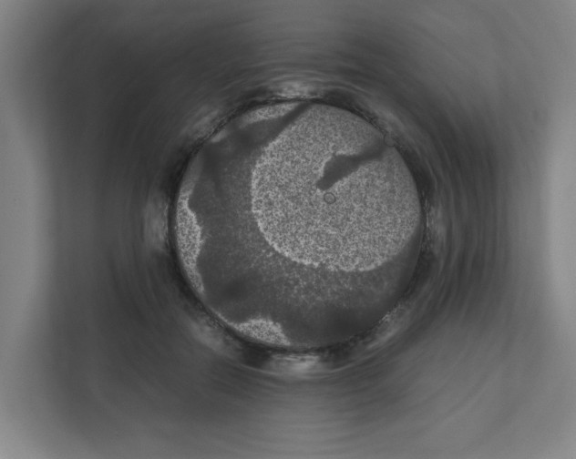 X0000111860554200908201300