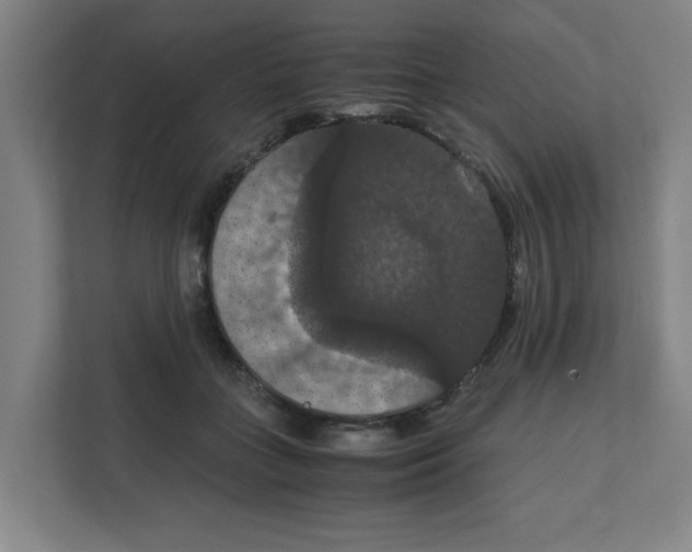 X0000111860555200908201300