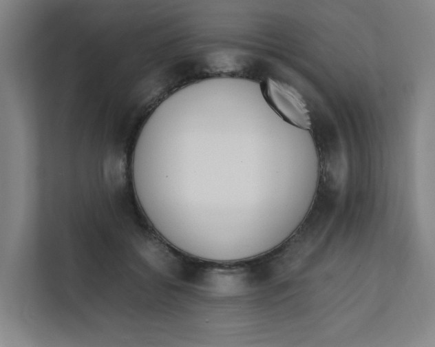 X0000111860556200908201300