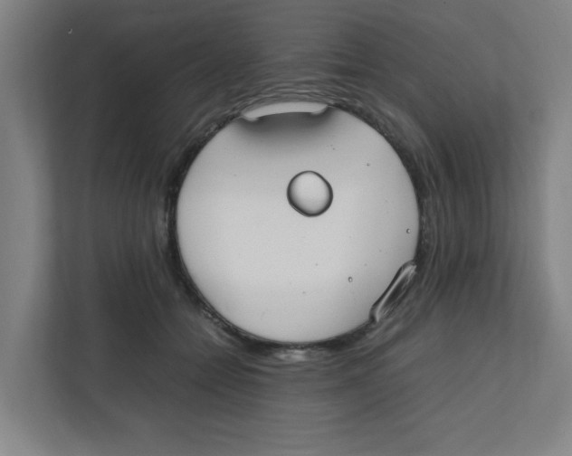 X0000111860558200908201300