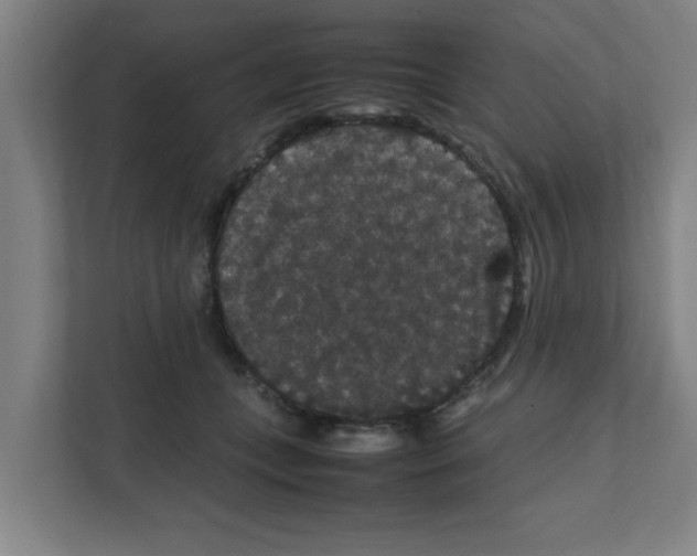 X0000111860559200908201300