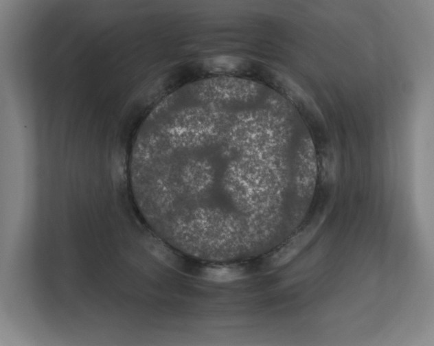 X0000111860561200908201300