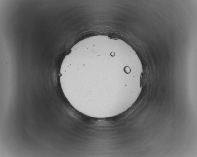 X0000111860562200908201300