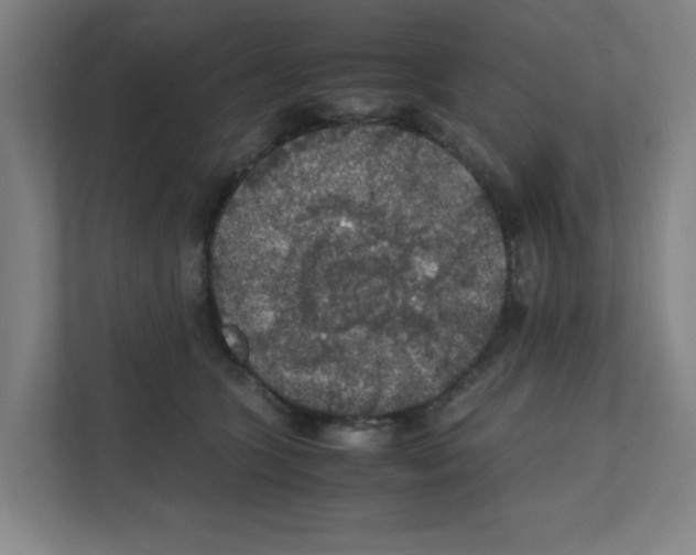 X0000111860563200908201300
