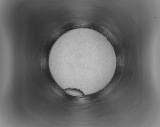 X0000111860564200908201300