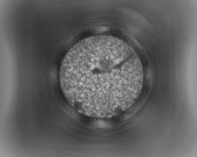 X0000111860565200908201300