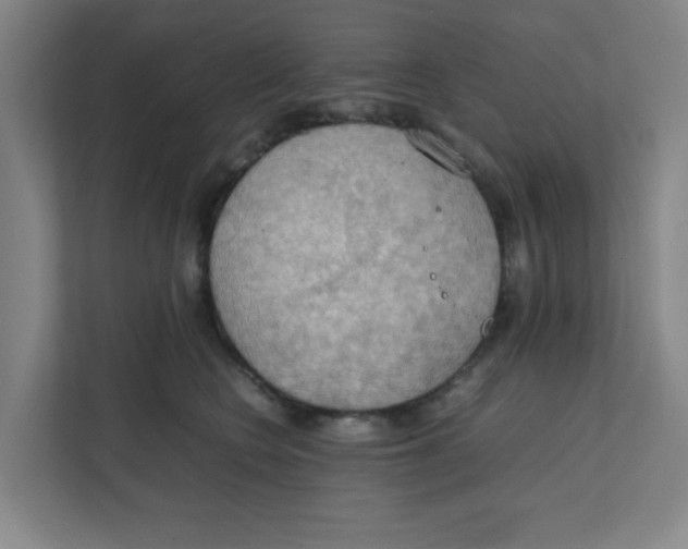 X0000111860566200908201300