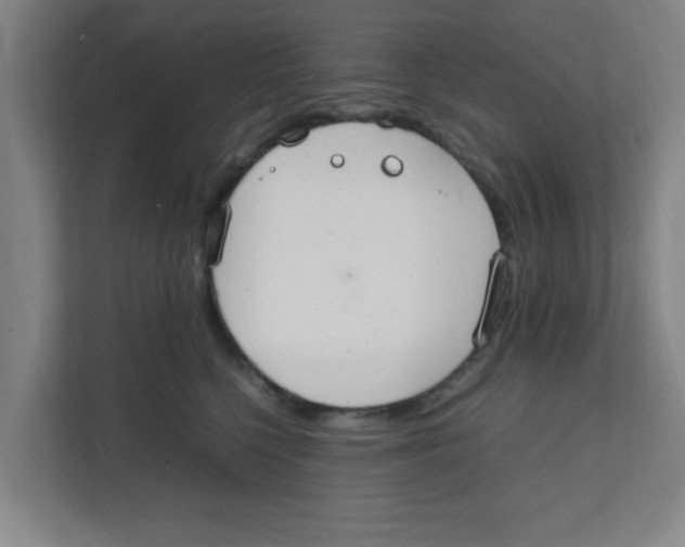 X0000111860568200908201300