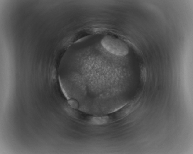 X0000111860571200908201300