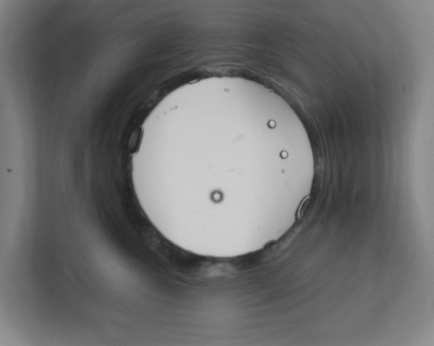 X0000111860572200908201300