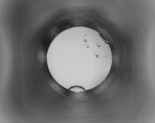 X0000111860574200908201300