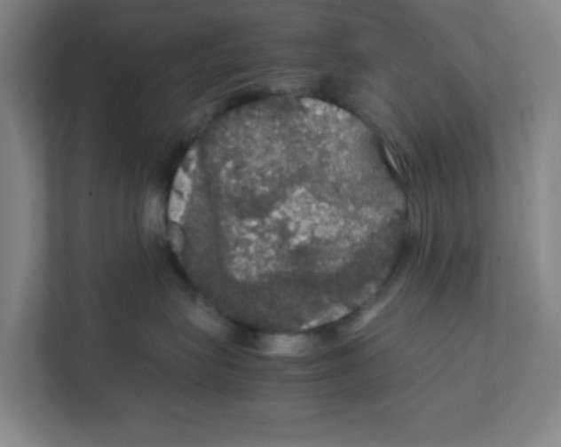 X0000111860575200908201300