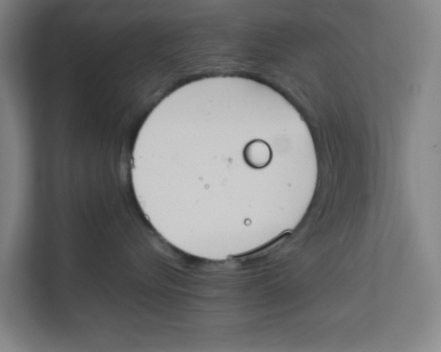 X0000111860576200908201300