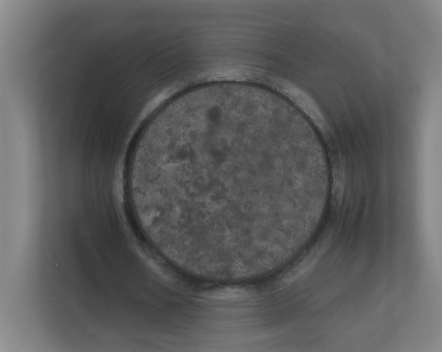 X0000111860578200908201259
