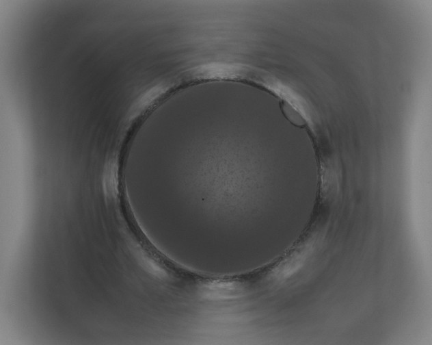 X0000111860581200908201259