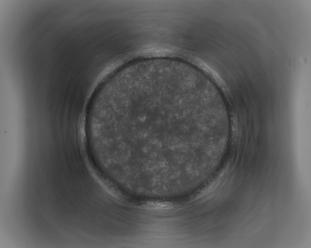 X0000111860582200908201259