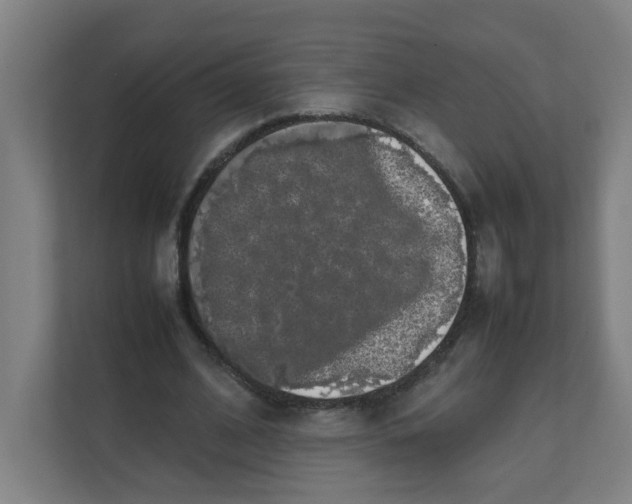 X0000111860584200908201259