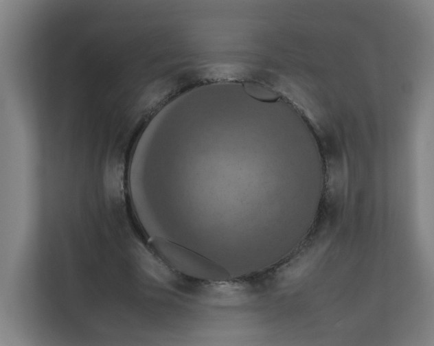 X0000111860585200908201259