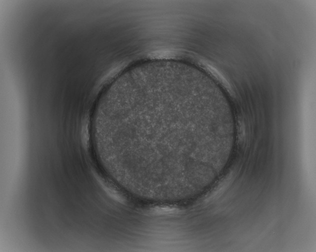 X0000111860586200908201259