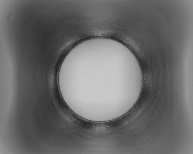 X0000111860587200908201259