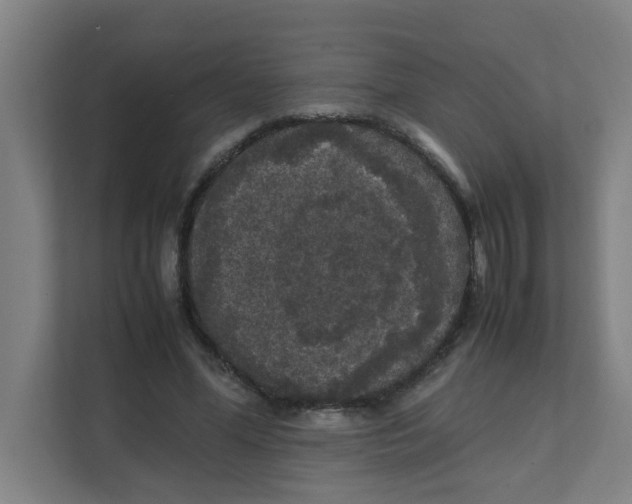 X0000111860588200908201259