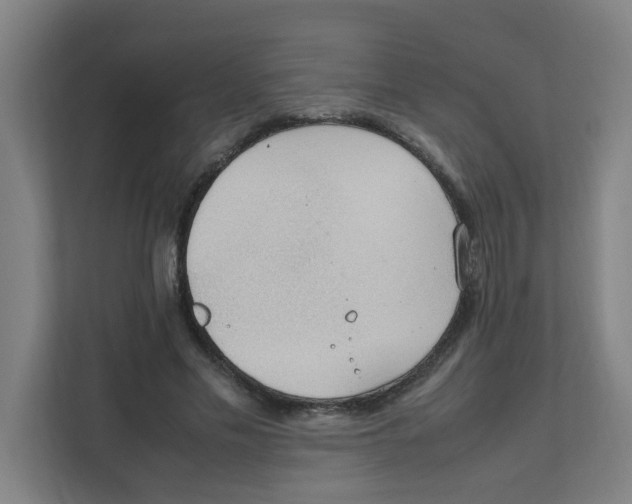 X0000111860589200908201259