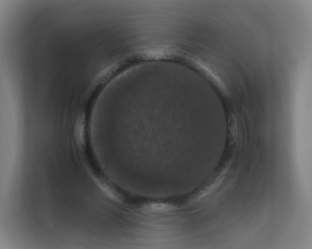 X0000111860590200908201259
