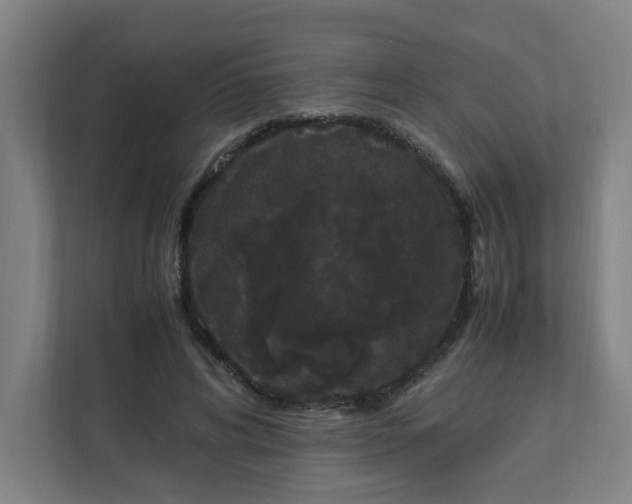 X0000111860592200908201259