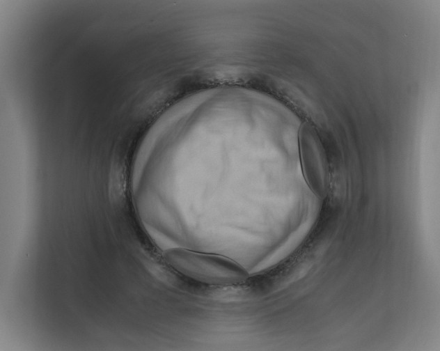 X0000111860593200908201259