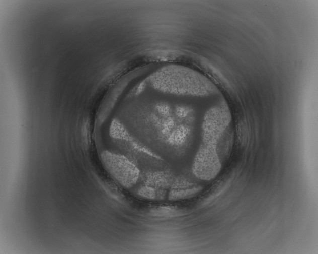 X0000111860594200908201259