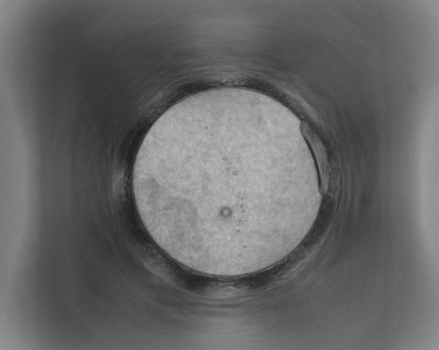 X0000111860597200908201259