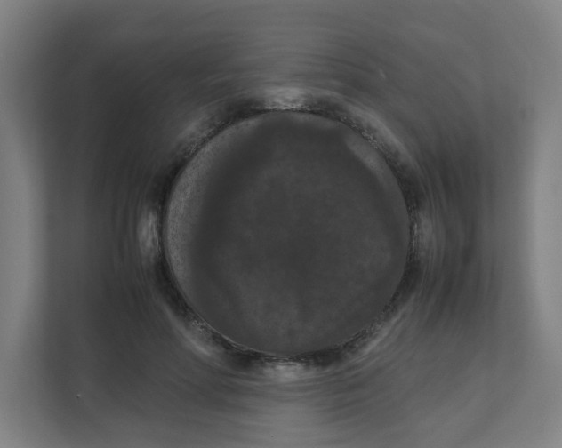 X0000111860598200908201259