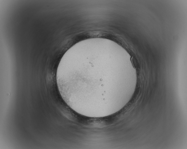 X0000111860601200908201259
