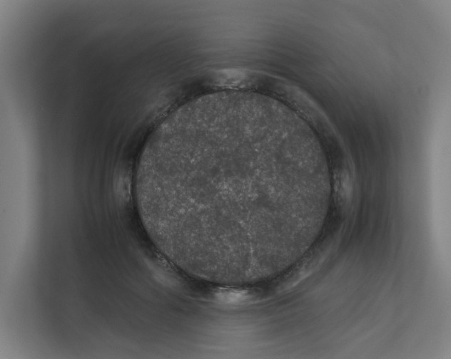 X0000111860602200908201259