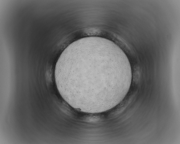 X0000111860604200908201259