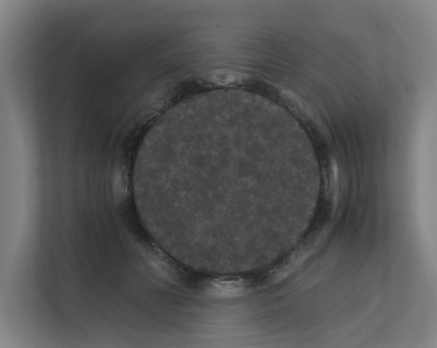 X0000111860606200908201259