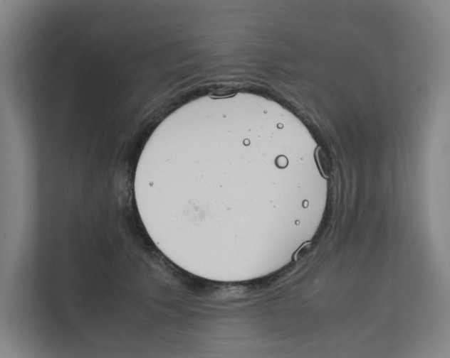 X0000111860609200908201259
