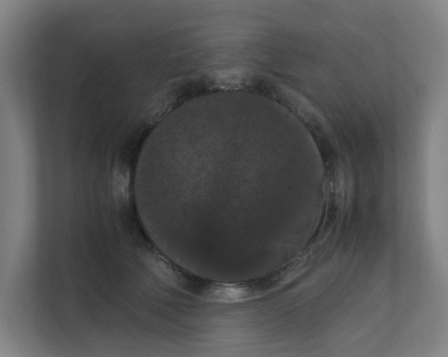 X0000111860610200908201259