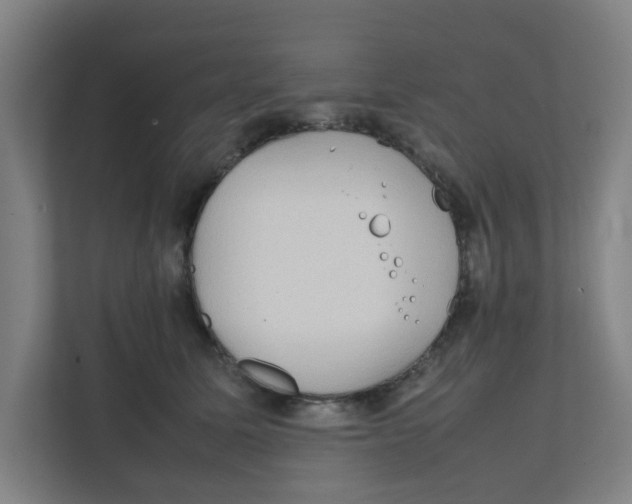 X0000111860611200908201259