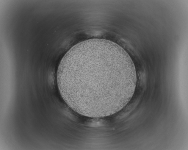 X0000111860612200908201259