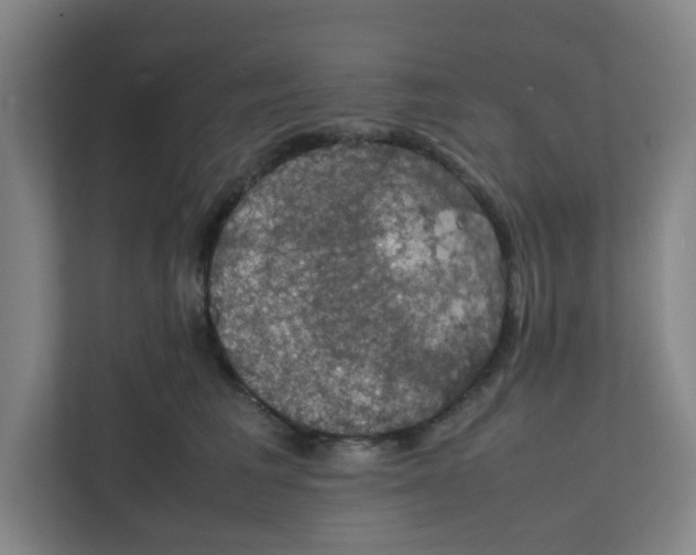 X0000111860613200908201259