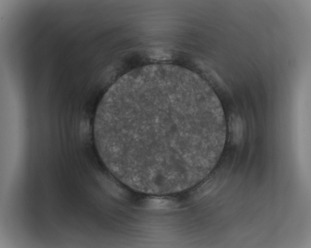 X0000111860614200908201259