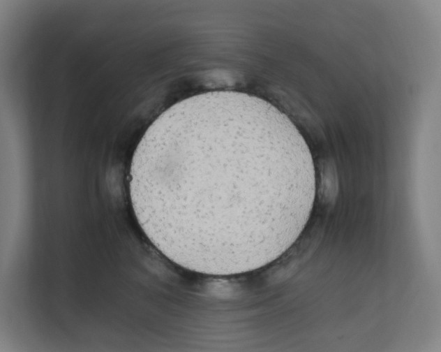 X0000111860616200908201259