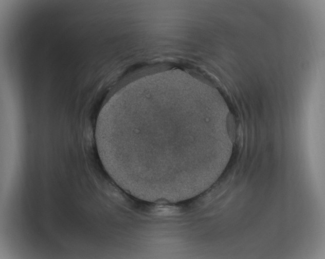 X0000111860617200908201259