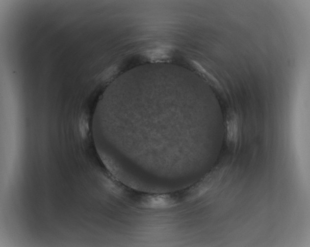 X0000111860618200908201259