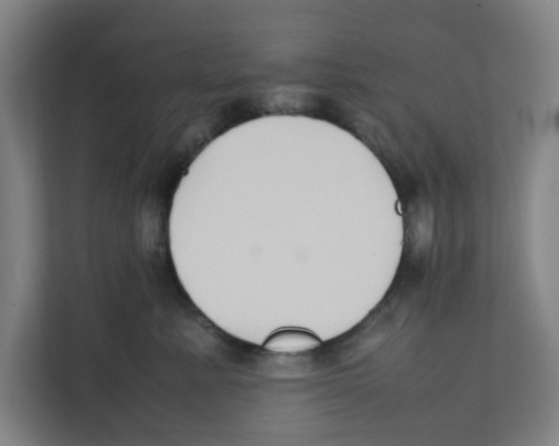 X0000111860619200908201259