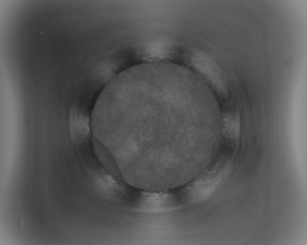 X0000111860621200908201259