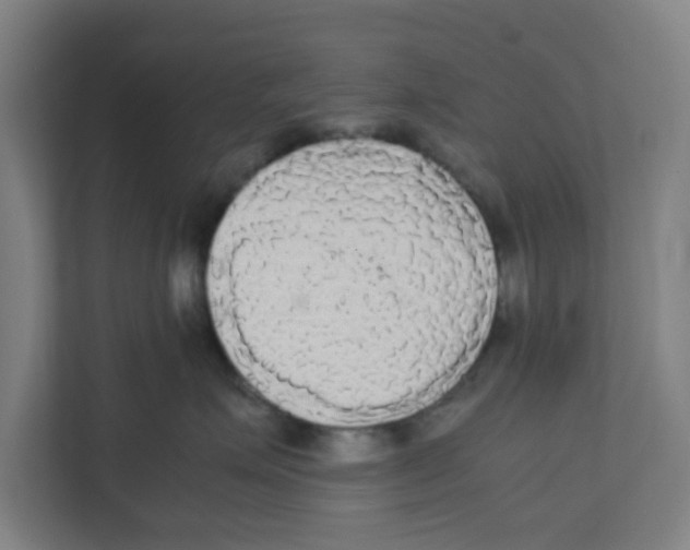 X0000111860623200908201259
