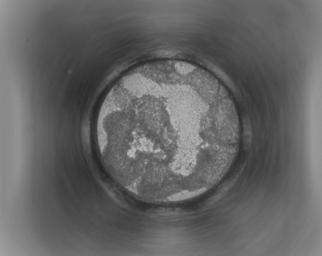 X0000111860626200908201258